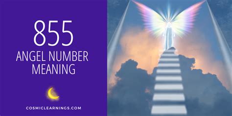 855 Angel Number Meaning, Spirituality, Twin Flame,。